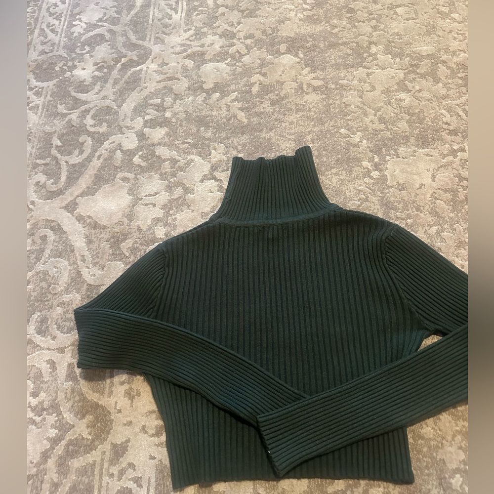 Green ribbed turtle neck